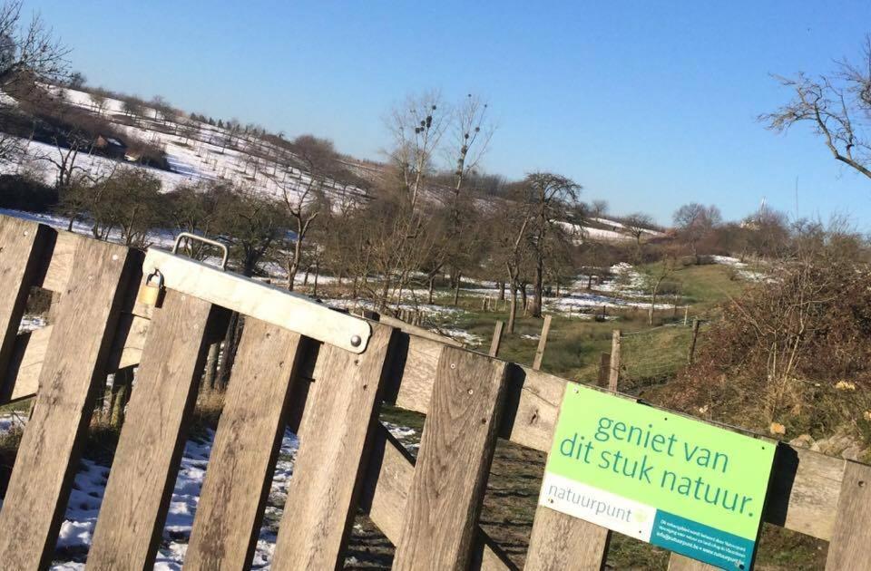 Gastenverblijf Chambre Damis - Geniet Van Haspengouw, Buiten En Binnen! Heers Kültér fotó